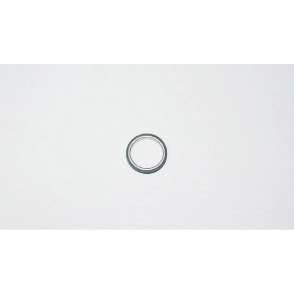 RKS RS 100 EGZOZ CONTASI #RK 10770